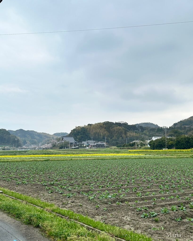 櫻井神社に向かう途中の景色