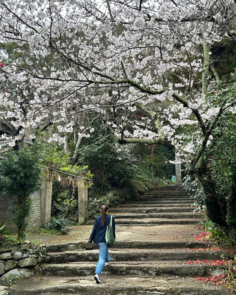 櫻井神社