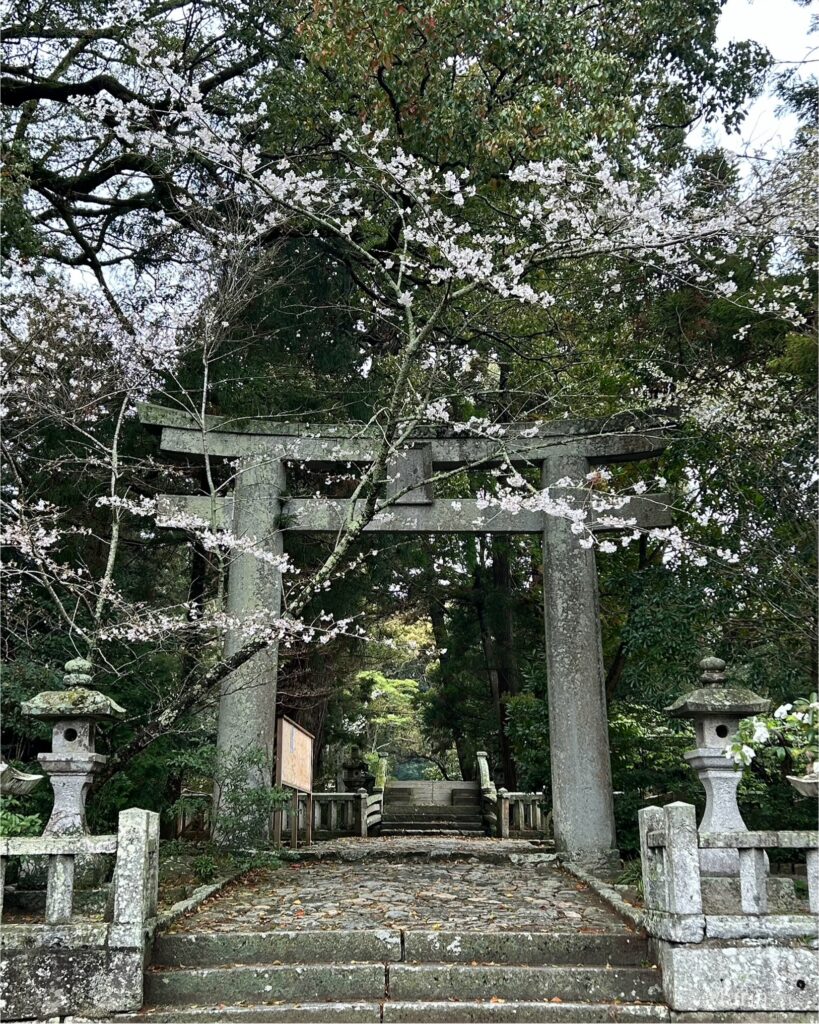 櫻井神社 太鼓橋