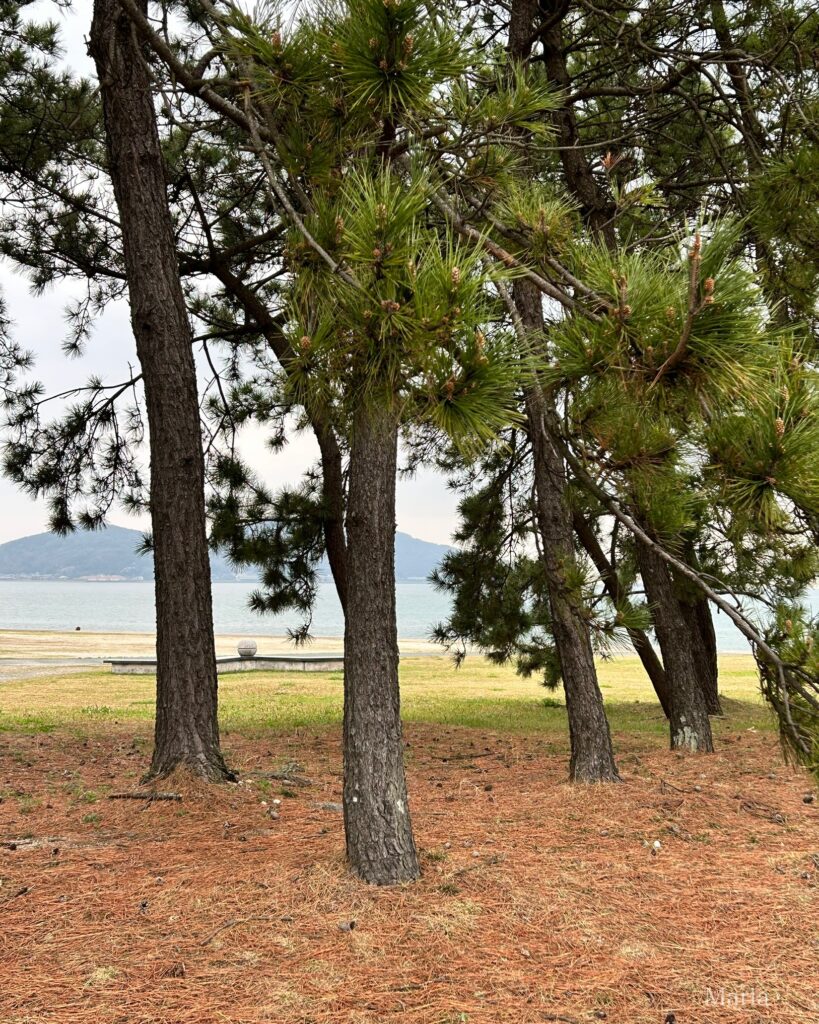 長垂海浜公園