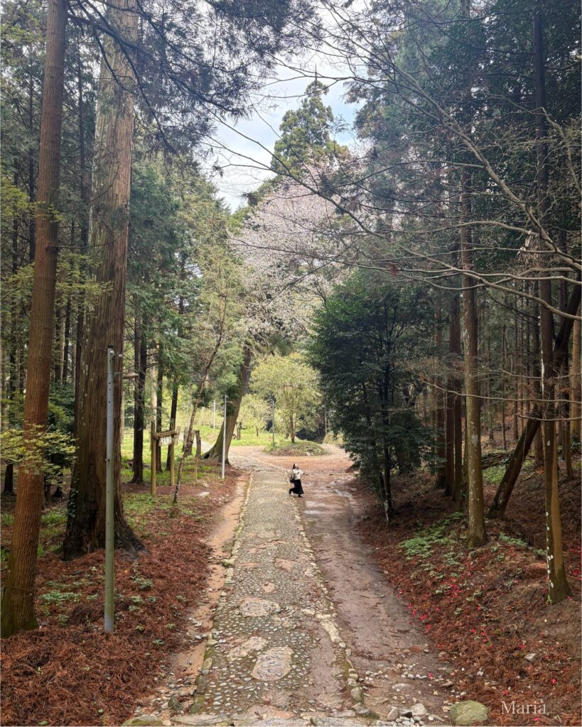 櫻井神社