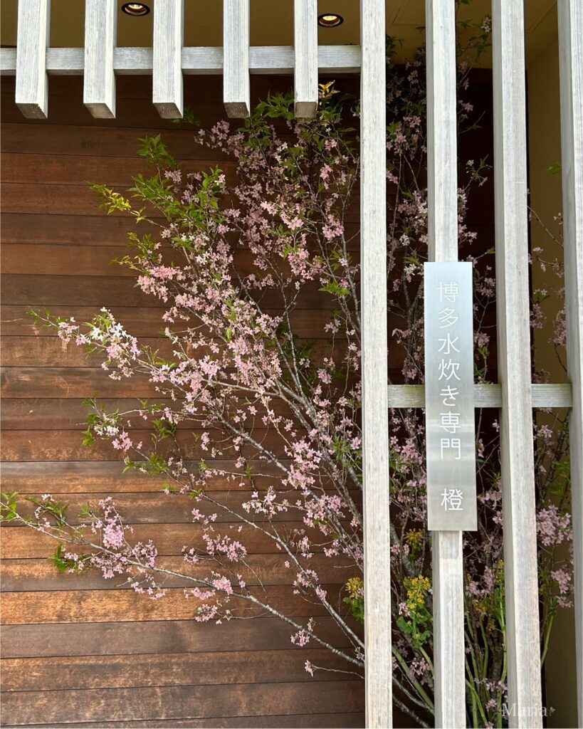 博多水炊き専門 橙