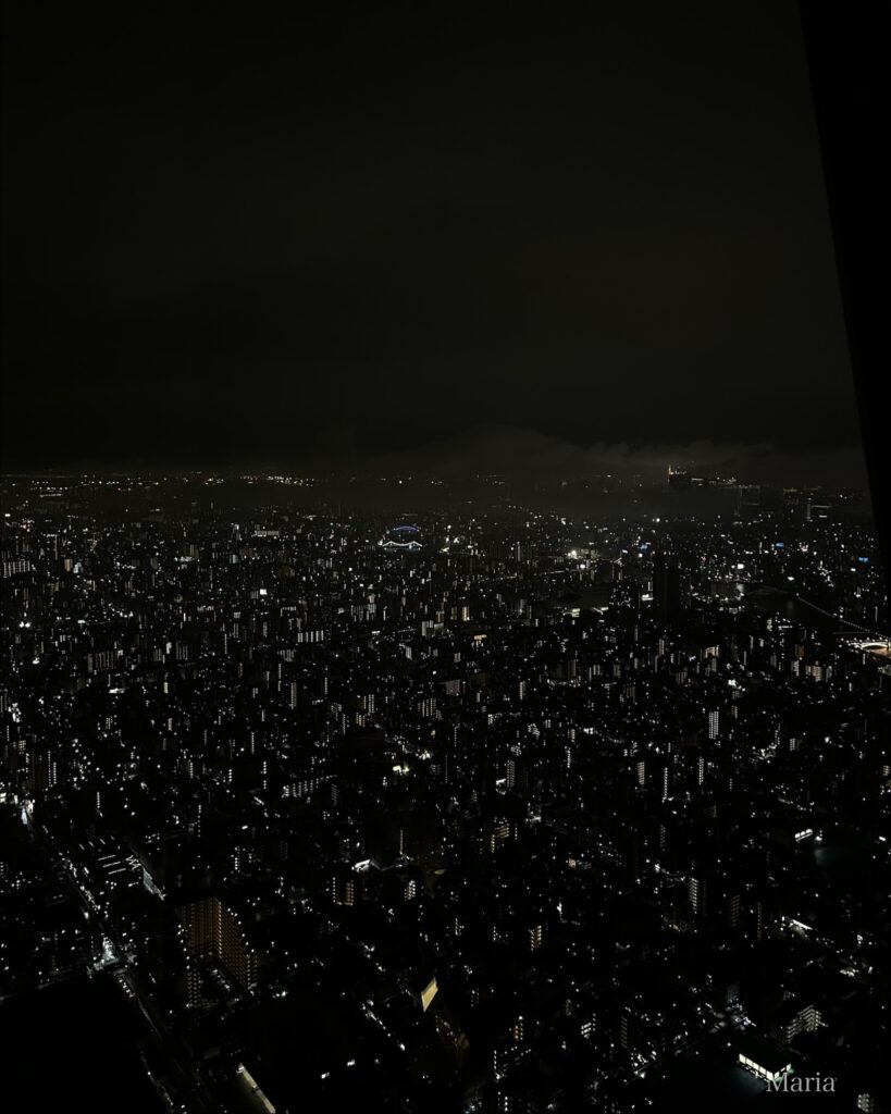 東京スカイツリー 展望デッキからの夜景
