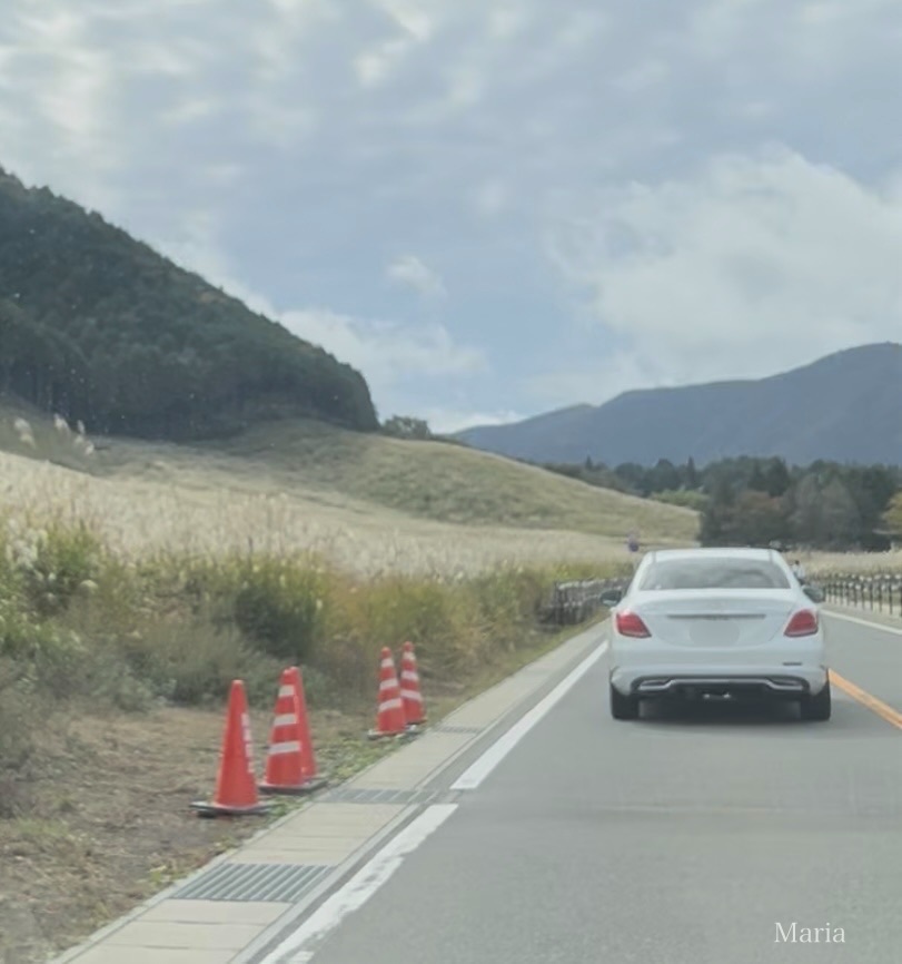 仙石原すすき草原