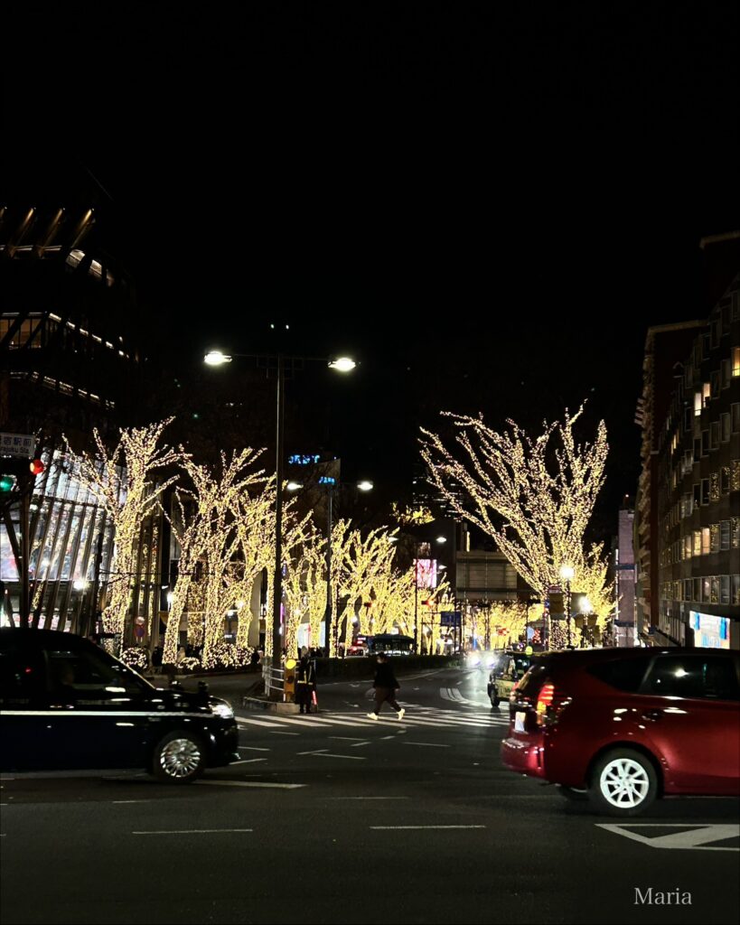 表参道 フェンディイルミネーション