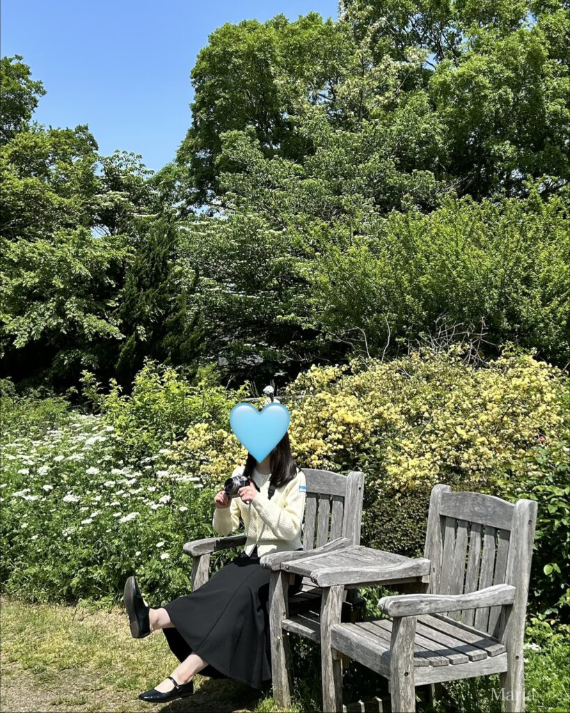 ドリプレ・ローズガーデンのメインガーデンのイス