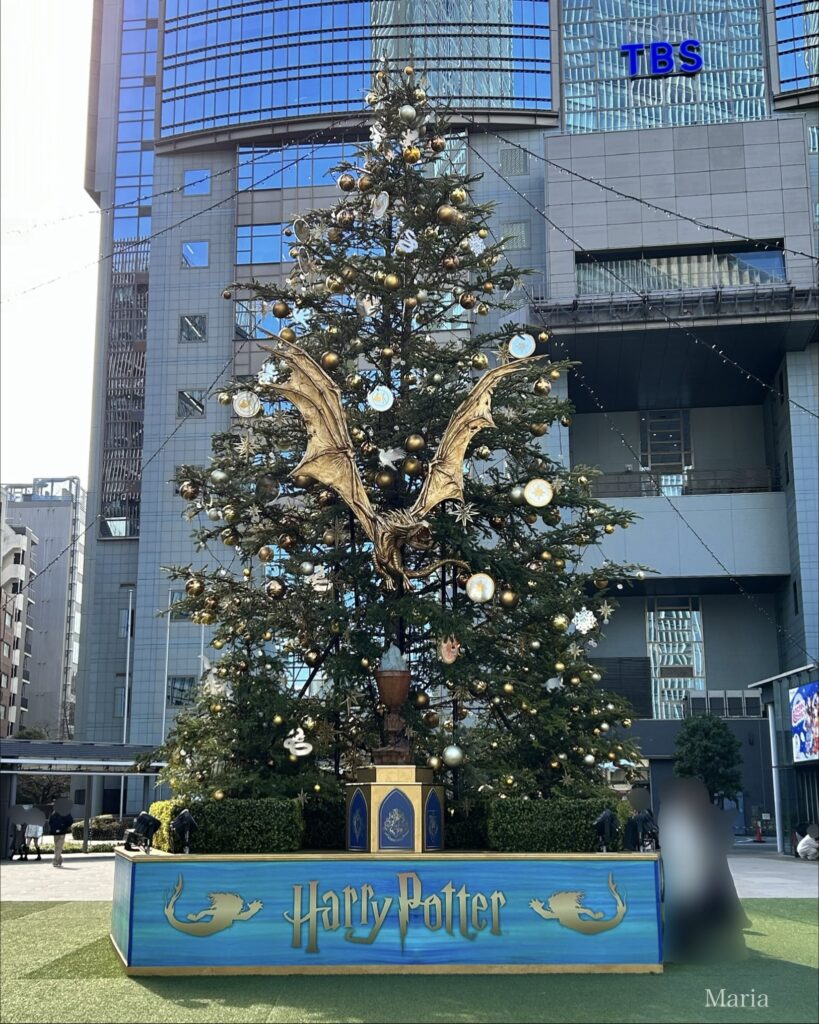 Harry Potter Tree（ハリー・ポッター ツリー）─Chosen by the Goblet