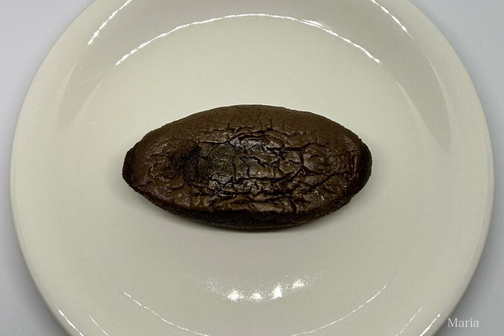 黒船ハーバー しょこらいちご(ありあけ)