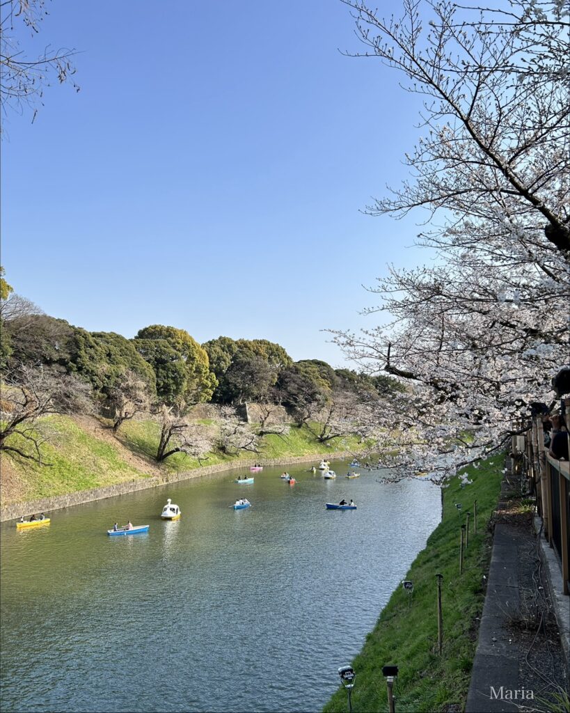 千鳥ヶ淵 ボート